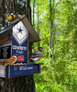 Dallas Cowboys Bird Feeder